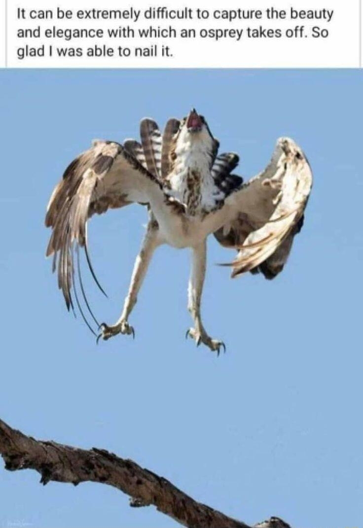 p post by Nicole Wilde Jun 6