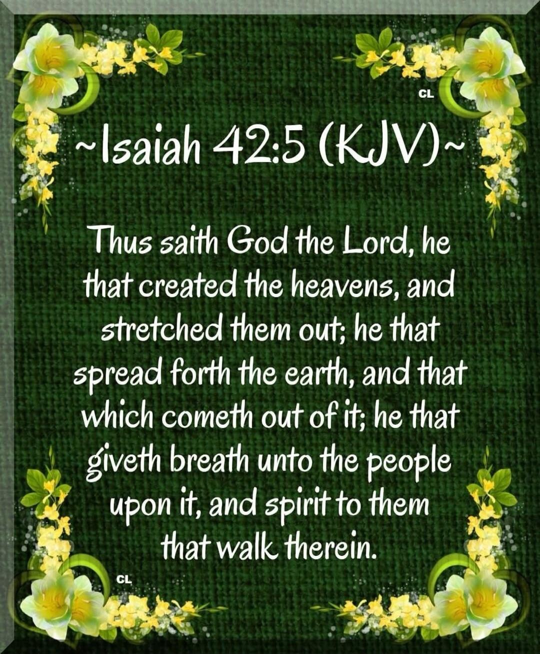~Isaiah 42:5 (KJV)~ Thus saith God the Lord, he that created the heavens, and stretched them out; he that spread forth the earth, and that which cometh out of it; he that giveth breath unto the people upon it, and spirit to them that walk therein.