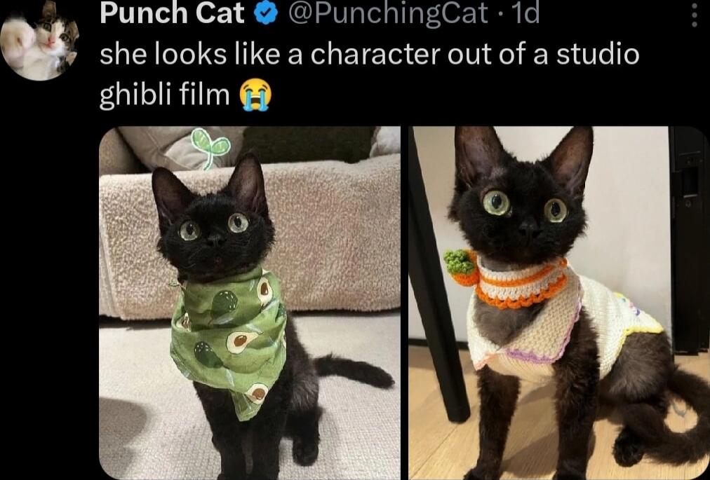 Punch Cat PunchingCat 1d she looks like a character out of a studio ghibli film