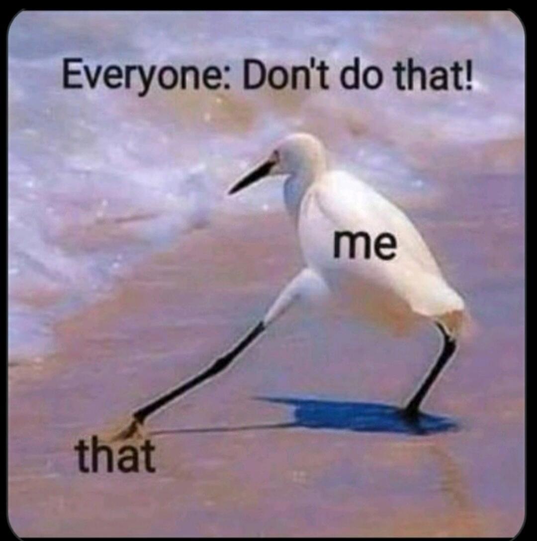 Everyone: Don't do that!
me
that