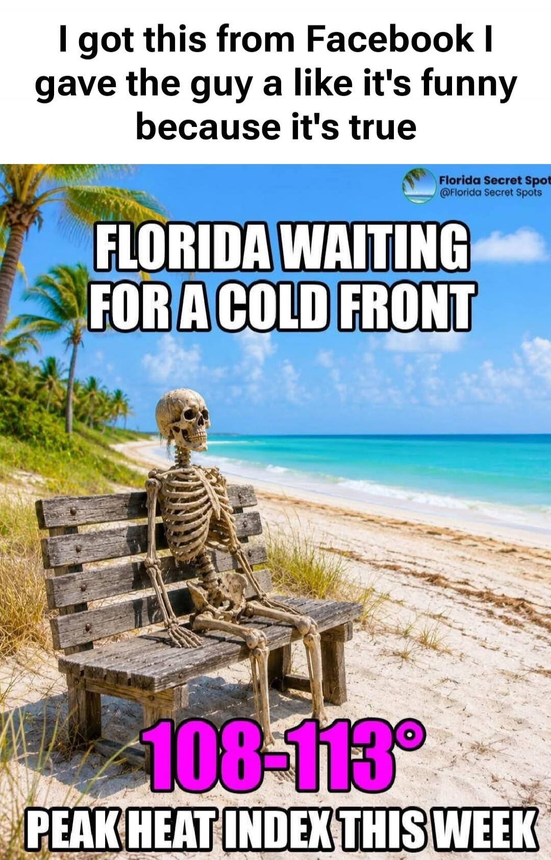 I got this from Facebook. I gave the guy a like. It's funny because it's true. Florida waiting for a cold front. 108-113° peak heat index this week. Florida Secret Spot.