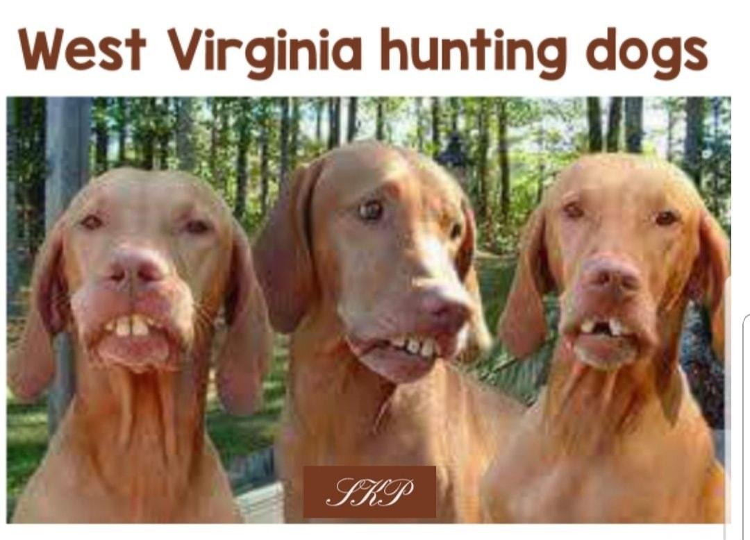 West Virginia hunting d i af B 9