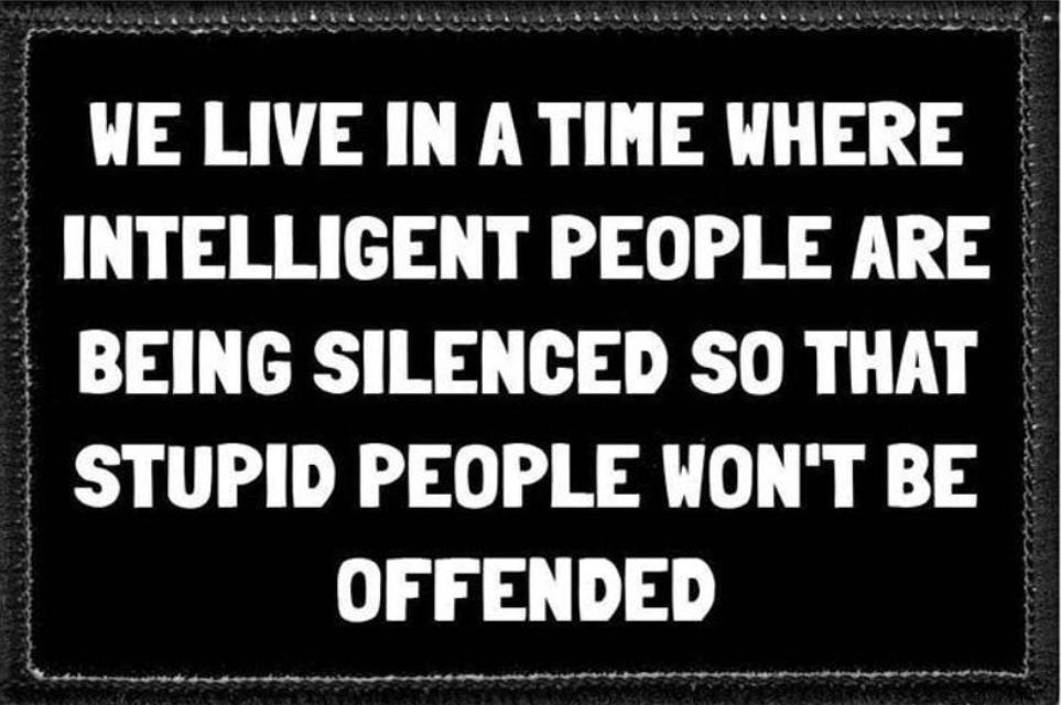 WE LIVE IN A TIME WHERE INTELLIGENT PEOPLE ARE BEING SILENCED SO THAT STUPID PEOPLE WONT BE OFFENDED
