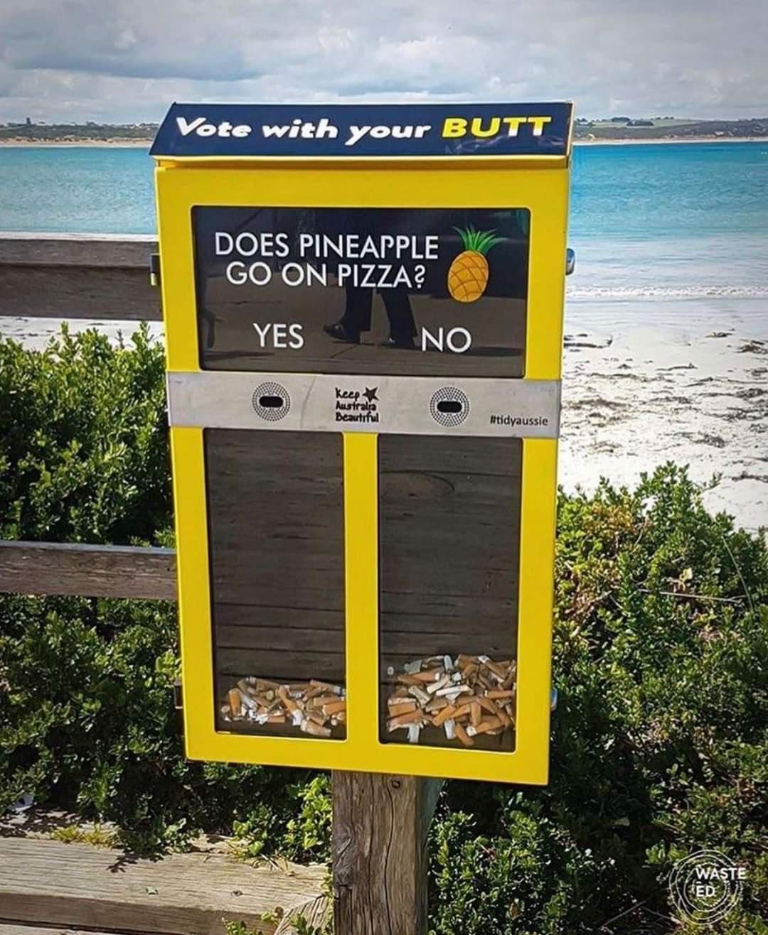 DOES PINEAPPLE GO ON PIZZA YES e