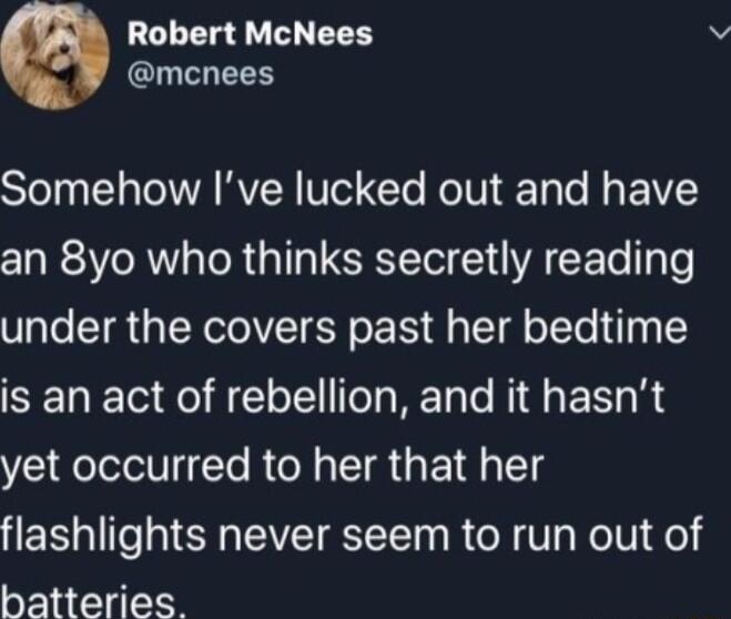 Robert McNees mcnees Somehow Ive lucked out and have an 8yo who thinks secretly reading under the covers past her bedtime is an act of rebellion and it hasnt yet occurred to her that her flashlights never seem to run out of batteries