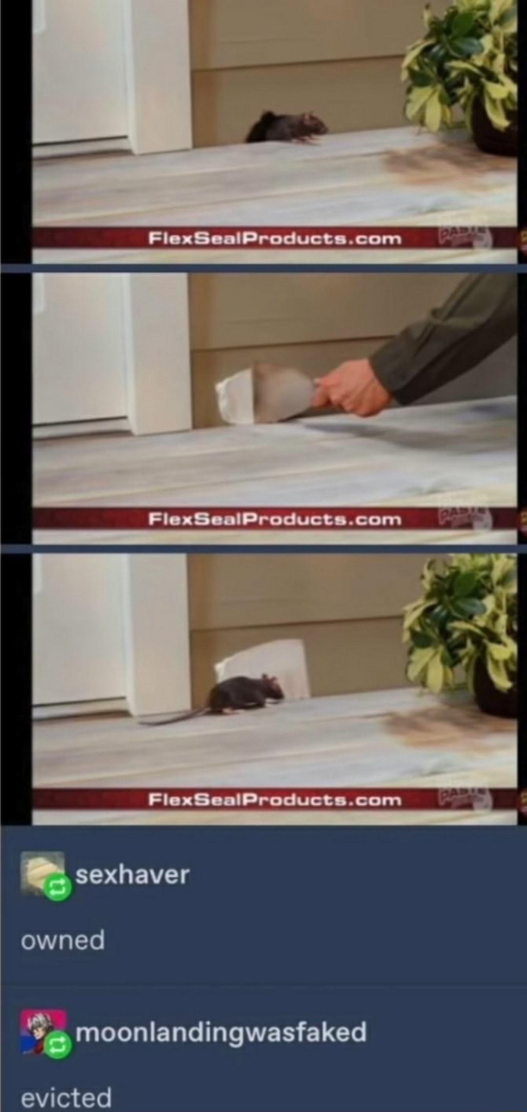 FlexSealProductscom e FlexSealProductscom i sexhaver