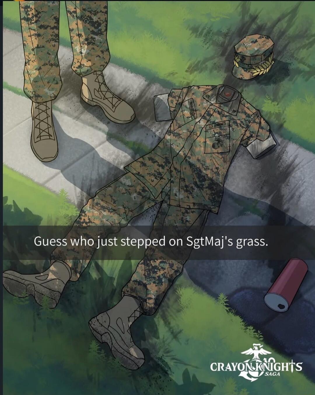 Guess who just stepped on SgtMaj's grass.