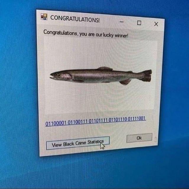 B CONGRATULATIONS Cmhmmnnlvm