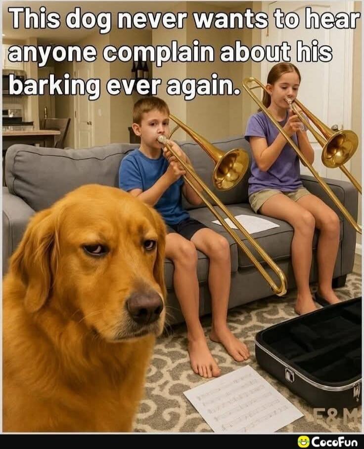 This dog never wants to hear anyone complain about his barking ever again.