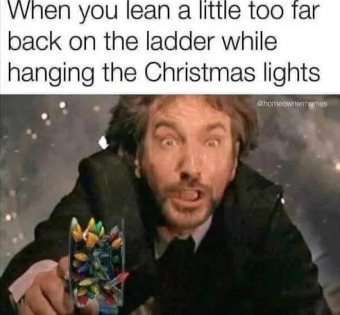When you lean a little too far back on the ladder while hanging the Christmas lights