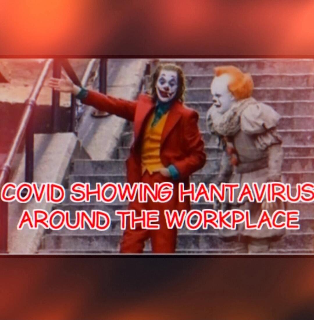 COVID SHOWING HANTAVIRUS AROUND THE WORKPLACE