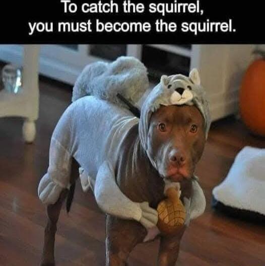 1o catch the squirrel you must become the squirrel