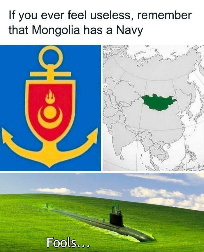 If you ever feel useless remember that Mongolia has a Navy
