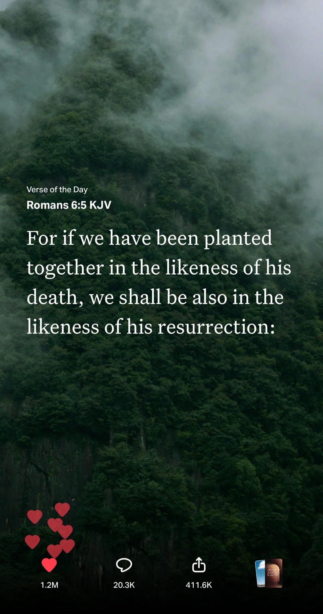 Verse of the Day Romans 6:5 KJV For if we have been planted together in the likeness of his death, we shall be also in the likeness of his resurrection:
