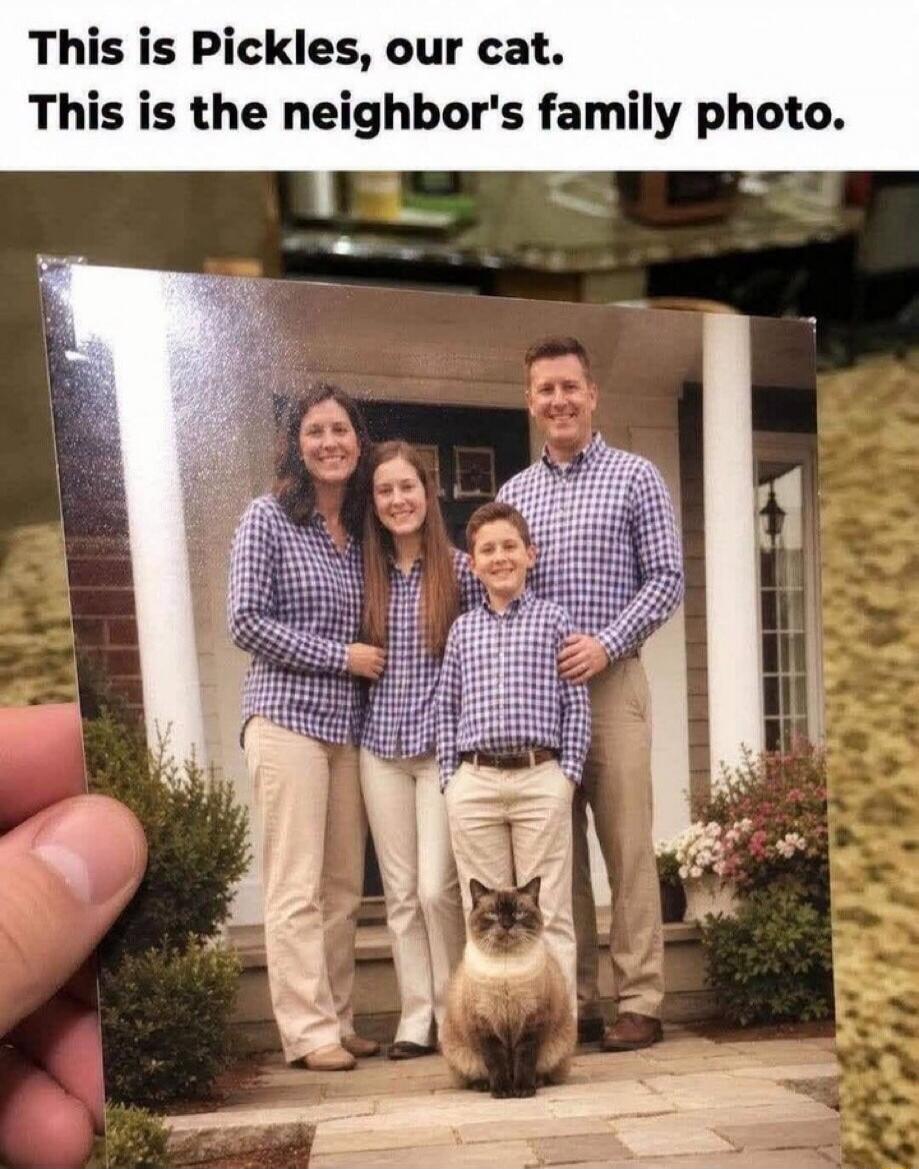 This is Pickles, our cat. This is the neighbor's family photo.