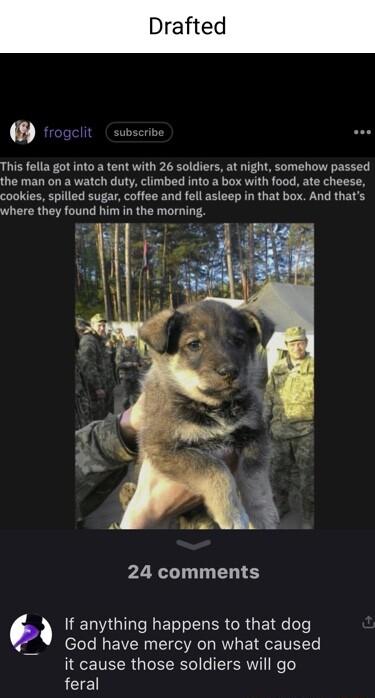 This fella got into a tent with 26 soldiers at night somehow passed the man on a watch duty climbed into a box with food ate cheese cookies spilled sugar coffee and fell asleep in that box And thats where they found him in the morning 24 comments b If anything happens to that dog God have mercy on what caused it cause those soldiers will go feral
