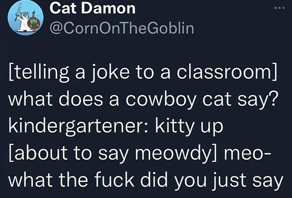 Cat Damon Q CornOnTheGoblin telling a joke to a classroom what does a cowboy cat say kindergartener kitty up about to say meowdy meo WIaEY oI Ue1 o o RV TV RIS 721V