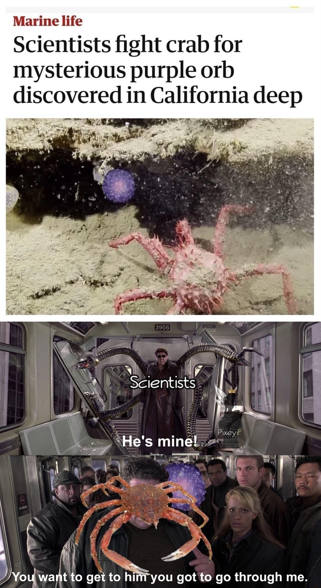 Marine life Scientists fight crab for mysterious purple orb discovered in California deep S Ry A l 3 Yo wayjt tc aoRtBIMyou got go through me