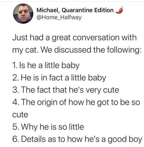 Michael Quarantine Edition Home_Halfway Just had a great conversation with my cat We discussed the following 11s he a little baby 2Heis in fact a little baby 3 The fact that hes very cute 4 The origin of how he got to be so cute 5Why he is so little 6 Details as to how hes a good boy