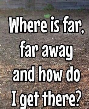 Where is far, far away and how do I get there?