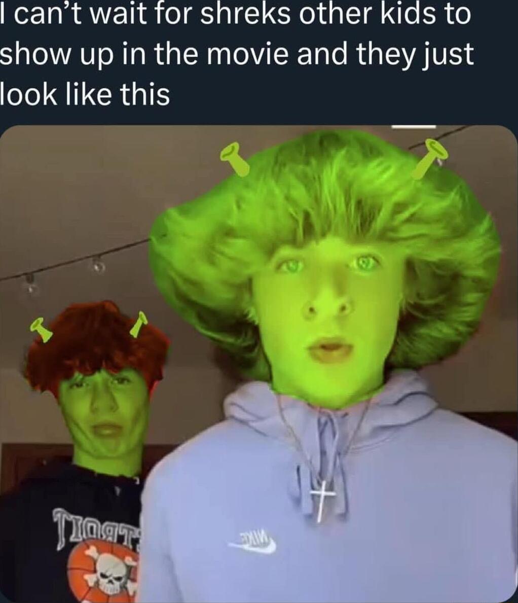 cant wait for shreks other kids to show up in the movie and they just l QRIS