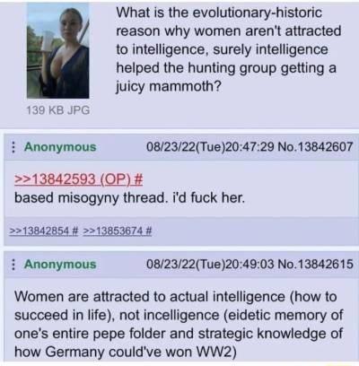 What is the evolutionary historic reason why women arent attracted to intelligence surely intelligence helped the hunting group getting a juicy mammoth 139 KB JPG i Anonymous 082322Tue204729 No13842607 13842593 OP based misogyny thread id fuck her 213842854 13853674 i Anonymous 082322Tue204903 No13842615 Women are attracted to actual intelligence how to succeed in life not incelligence eidetic mem