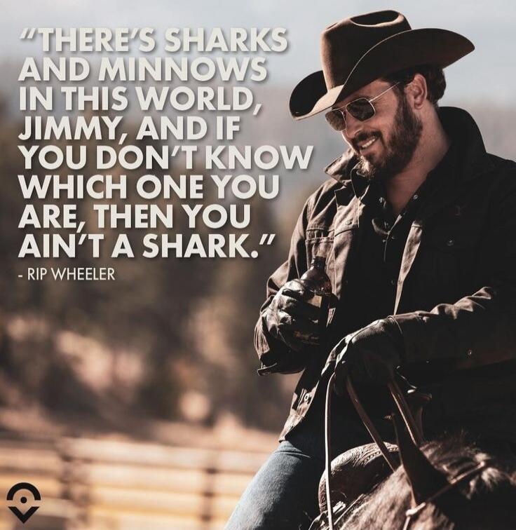THERE'S SHARKS AND MINNOWS IN THIS WORLD, JIMMY, AND IF YOU DON'T KNOW WHICH ONE YOU ARE, THEN YOU AIN'T A SHARK.