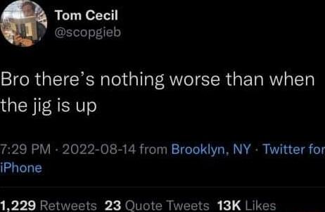 Tom Cecil scopgieb Bro theres nothing worse than when the jig is up 729 PM 2022 08 14 from Brooklyn NY Twitter for iPhone 1229 Retweets 23 Quote Tweets 13K Likes