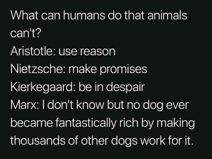 What can humans do that animals o N s Avristotle use reason Nietzsche make promises NEICCIOEE o Ml oY aNo S ok1g Marx dont know but no dog ever oClerInEN ElaleNilerl A TCal o ANEIale thousands of other dogs work for it