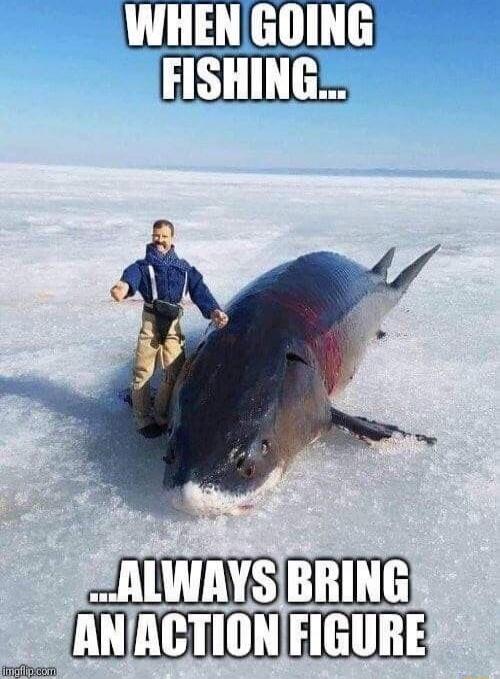 WHEN GOING FISHING... ...ALWAYS BRING AN ACTION FIGURE