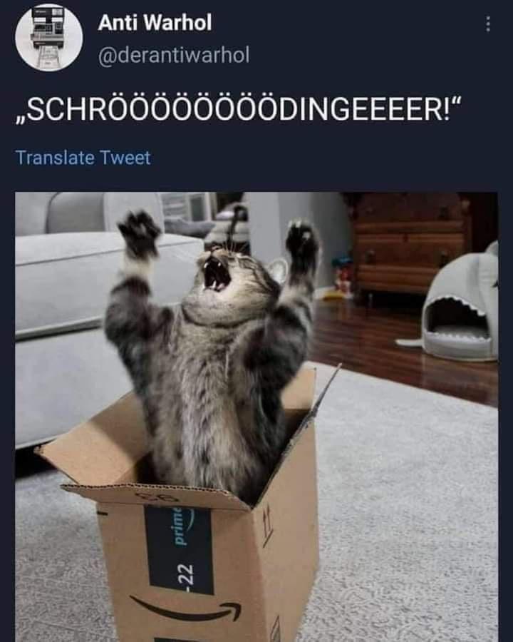 LULRLET QLEERINEIGE SCHROOOOOOOODINGEEEER Translate Tweet