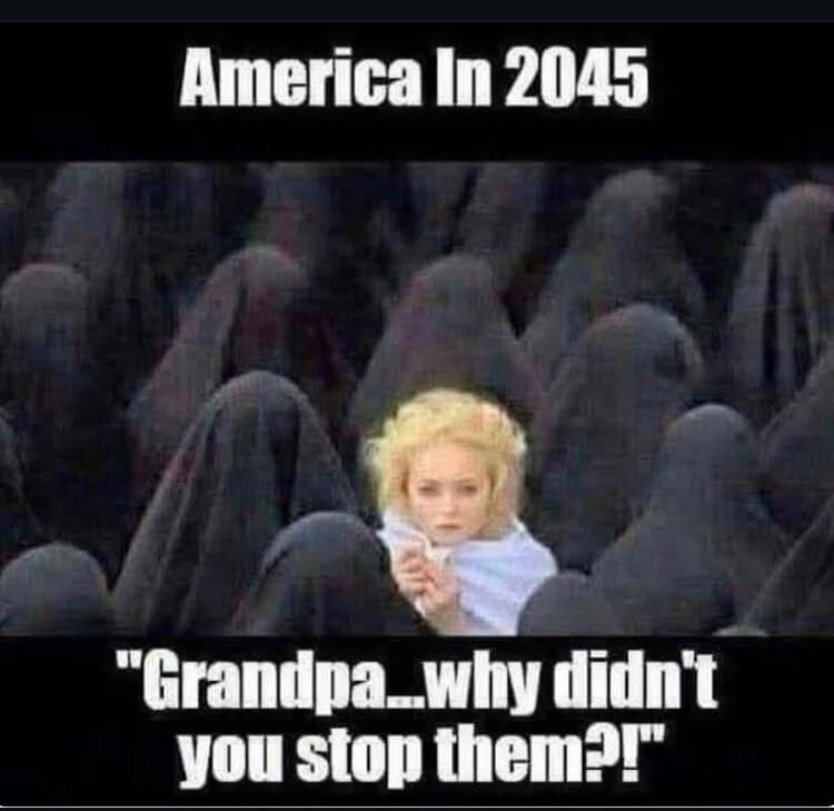 America In 2045 Grandpa...why didn't you stop them?!