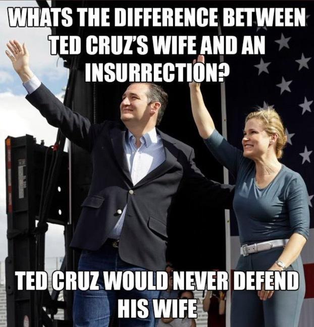 WHATS THE DIFFERENCE BETWEEN TED GRUZS WIFE AND AN INSURRECTION2 rnnuz WOULD NEVER DEFEND N