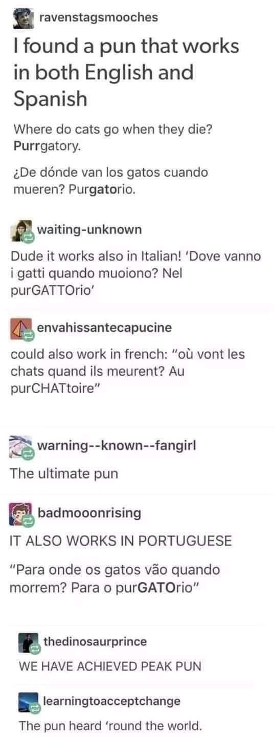 ravenstagsmooches found a pun that works in both English and Spanish Where do cats go when they die Purrgatory De dnde van los gatos cuando mueren Purgatorio A waiting unknown Dude it works also in Italian Dove vanno i gatti quando muoiono Nel purGATTOrio g envahissantecapucine could also work in french ot vont les chats quand ils meurent Au purCHATtoire warning known fangirl The ultimate pun a ba