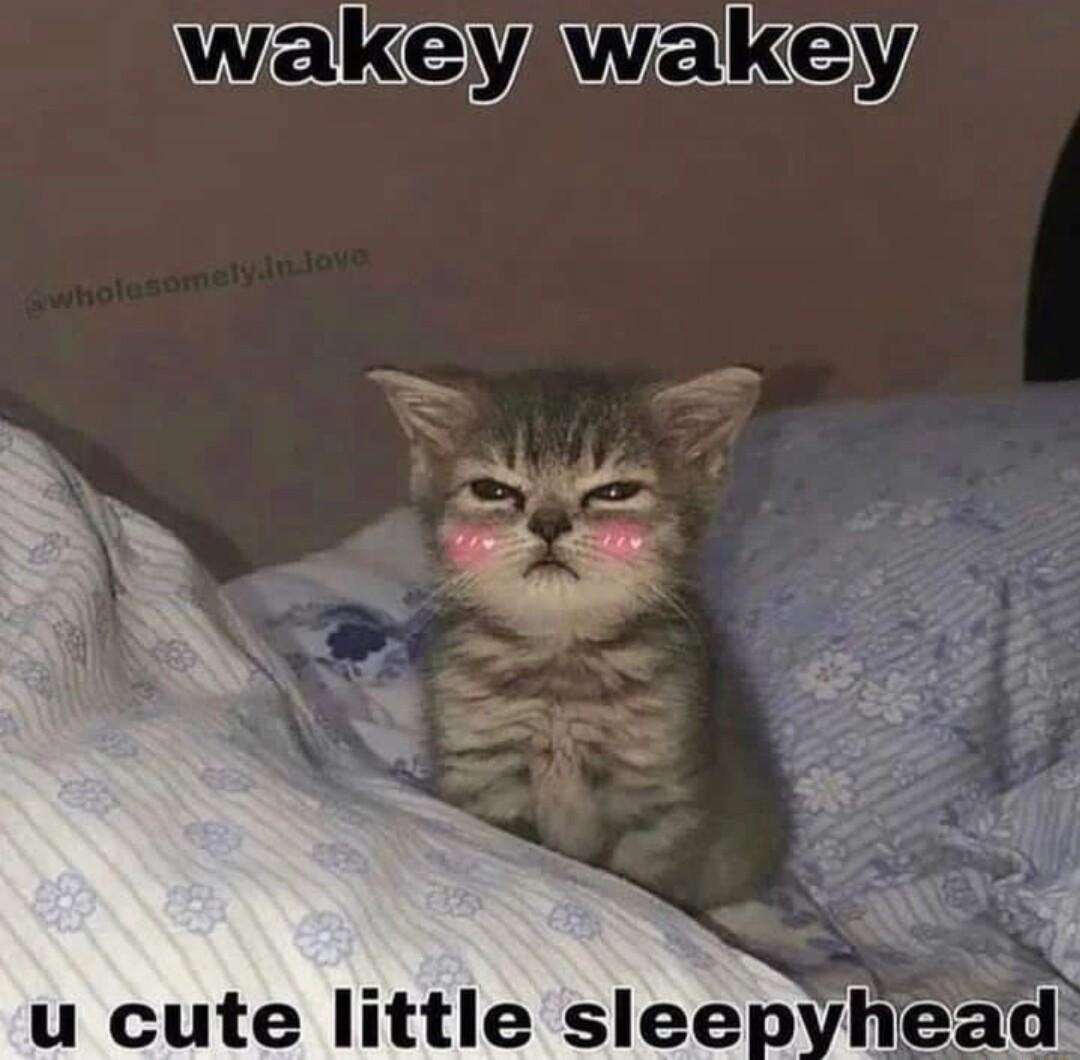 wakeyiwakey
