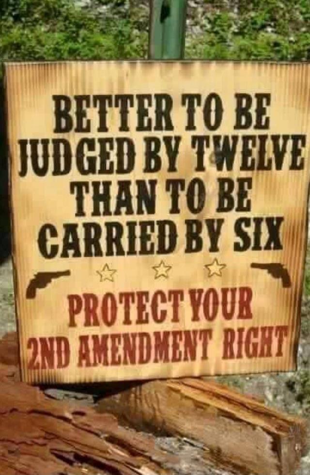 BETTER TO BE JUDGED BY TWELVE THAN TO BE CARRIED BY SIX PROTECT YOUR 2ND AMENDMENT RIGHT