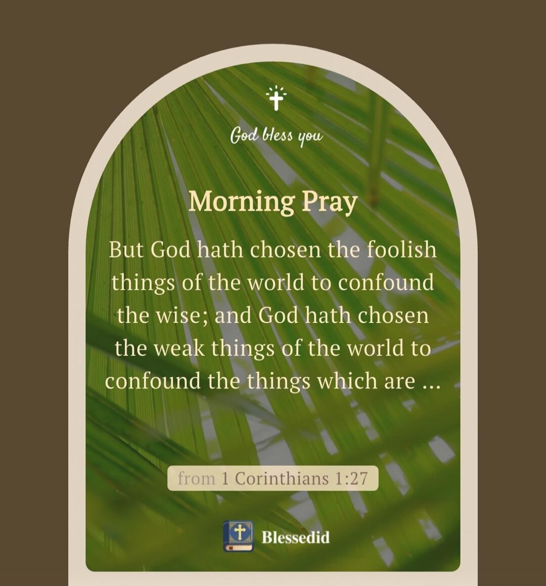 God bless you
Morning Pray
But God hath chosen the foolish things of the world to confound the wise; and God hath chosen the weak things of the world to confound the things which are ...
(from 1 Corinthians 1:27)