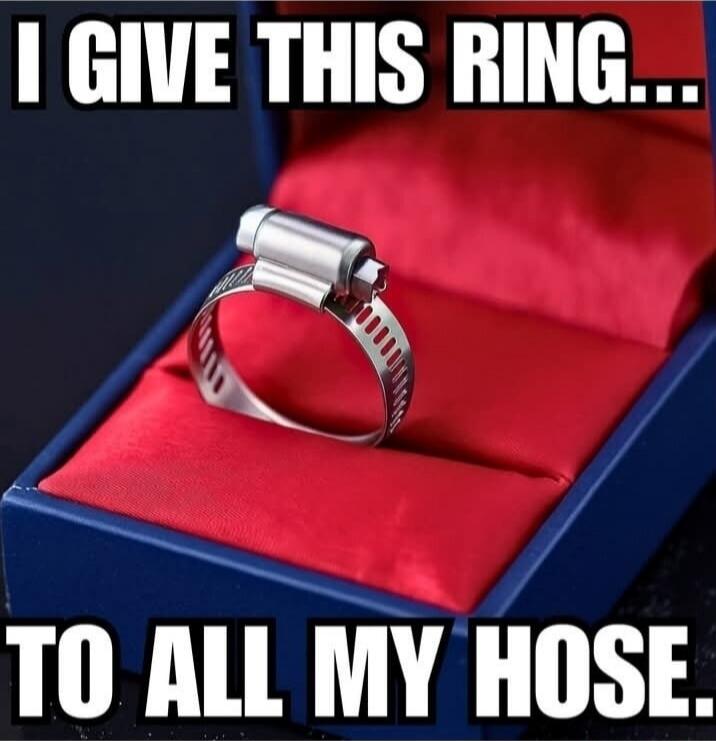 I GIVE THIS RING... TO ALL MY HOSE.
