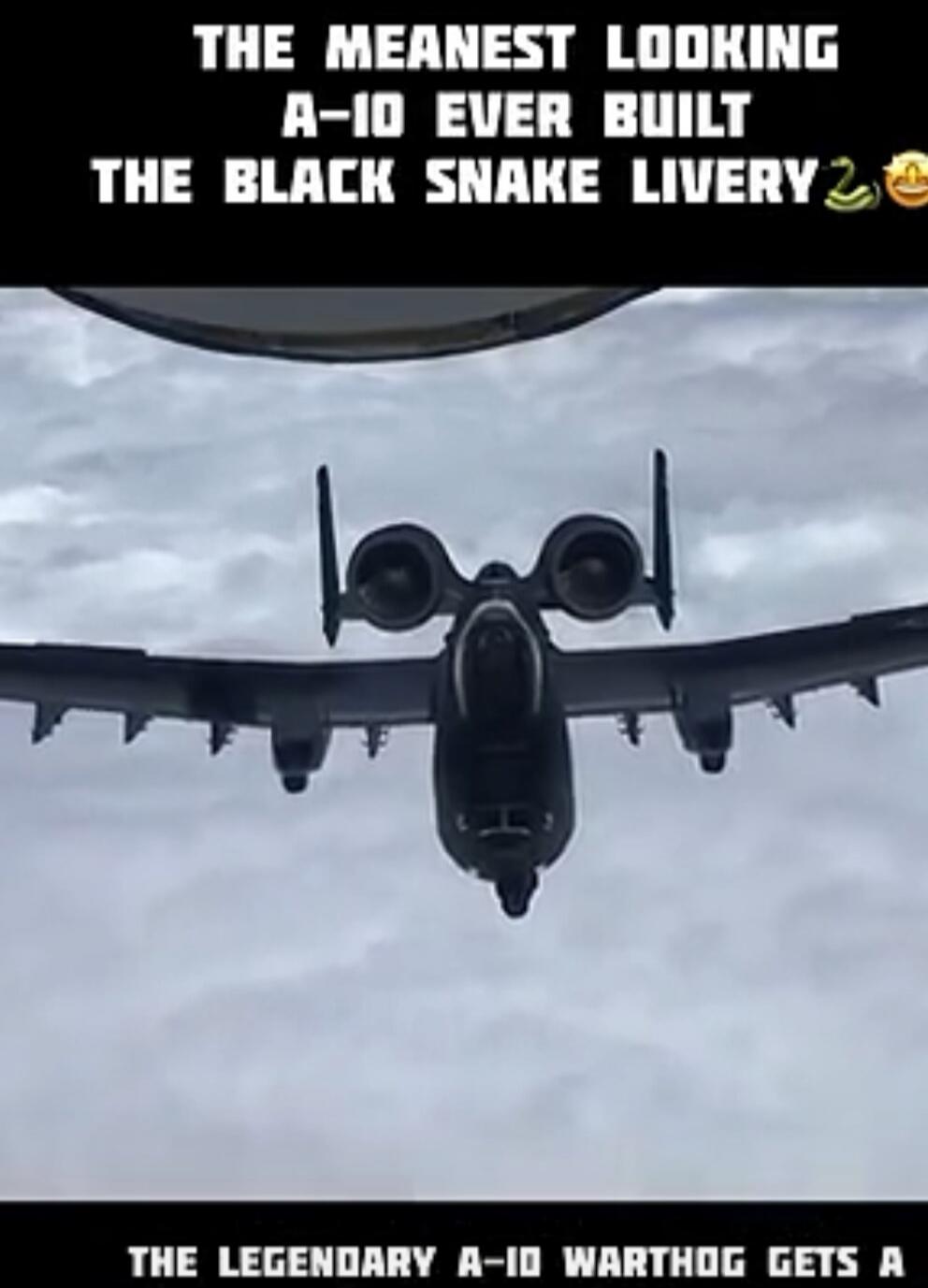 THE MEANEST LOOKING A-10 EVER BUILT THE BLACK SNAKE LIVERY THE LEGENDARY A-10 WARTHOG GETS A