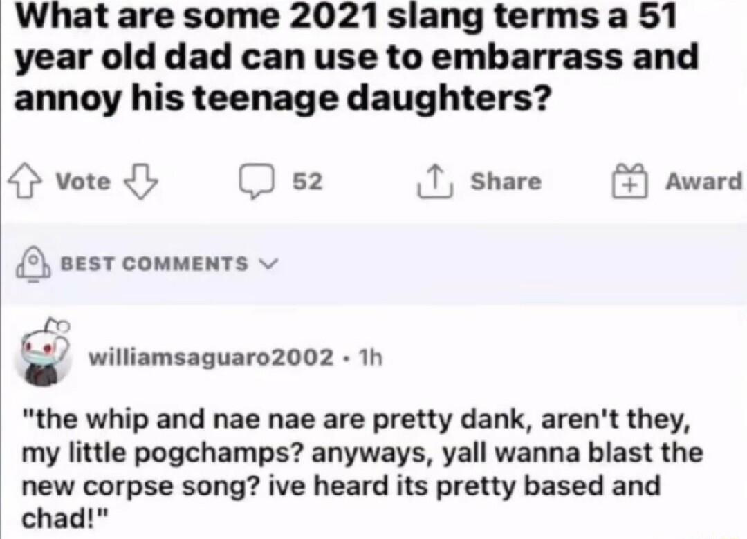 What are some 2021 slang terms a 51 year old dad can use to embarrass and annoy his teenage daughters vote 0 s2 T share Award L BEST COMMENTS v williamsaguaro2002 1h the whip and nae nae are pretty dank arent they my little pogchamps anyways yall wanna blast the new corpse song ive heard its pretty based and chad