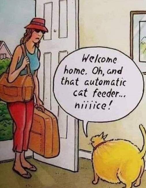 Welcome home. Oh, and that automatic cat feeder... niiiice!