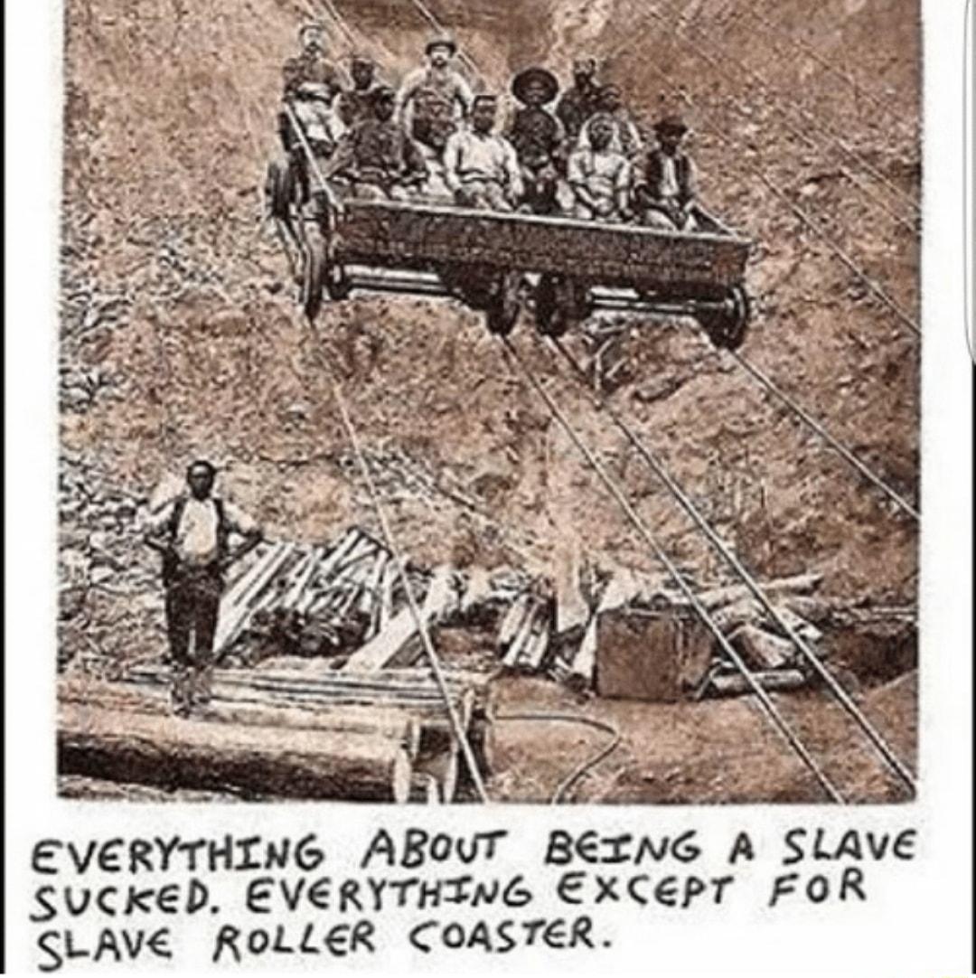 7 EVERYTHING ABOUT BEING A SLAVE SUCkeD EVERYTHING EXCEPT FOR SLAVE ROLLER COASTER