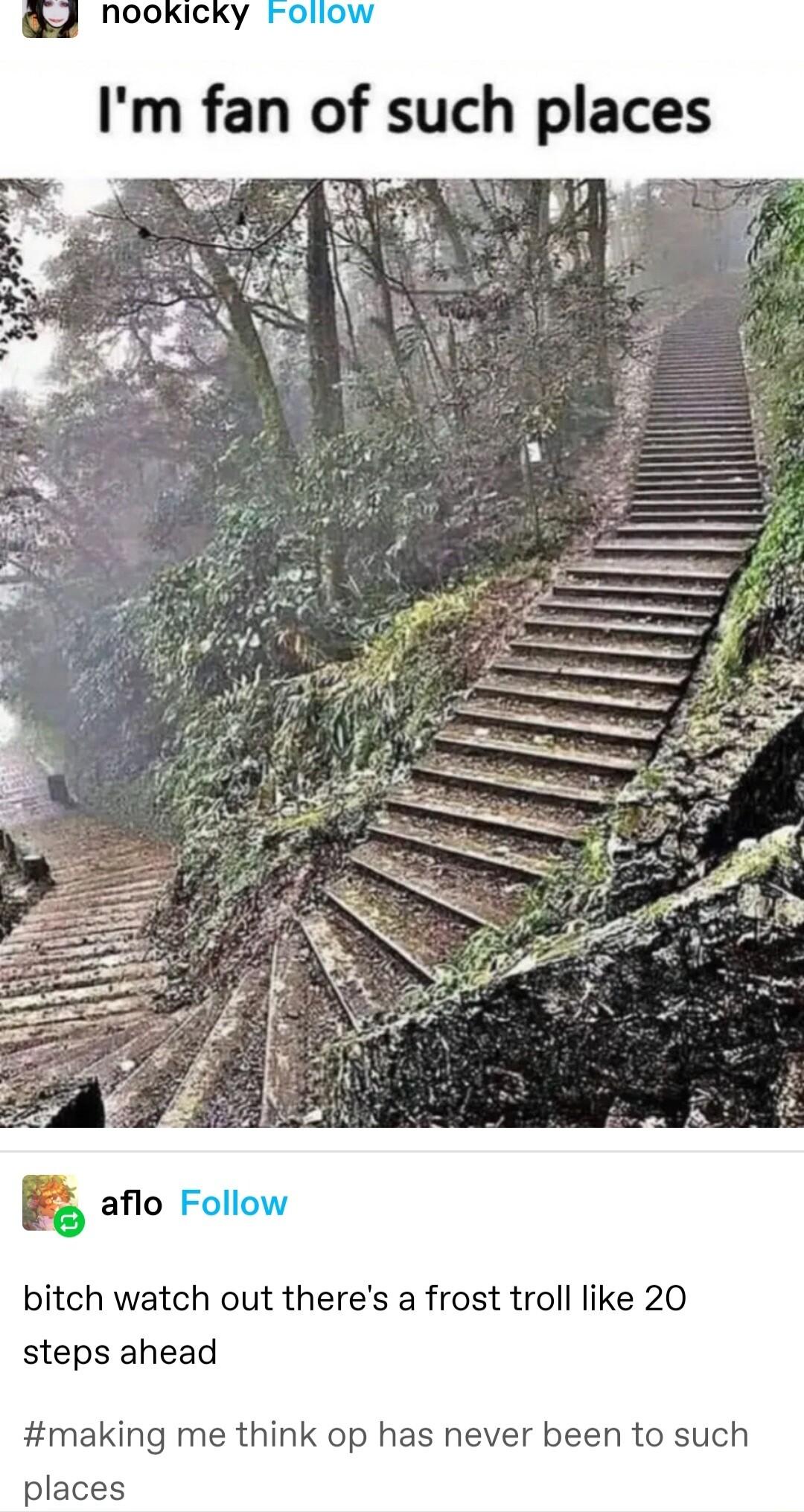 bitch watch out theres a frost troll like 20 steps ahead making me think op has never been to such places