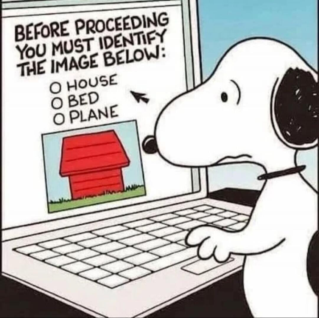 BEFORE PROCEEDING YOU MUST IDENTIFY THE IMAGE BELOW:
O HOUSE
O BED
O PLANE