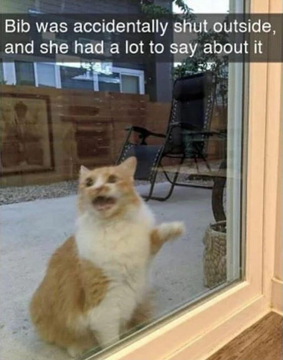 e Bib was accidentally shut outside and she had a lot to say about it