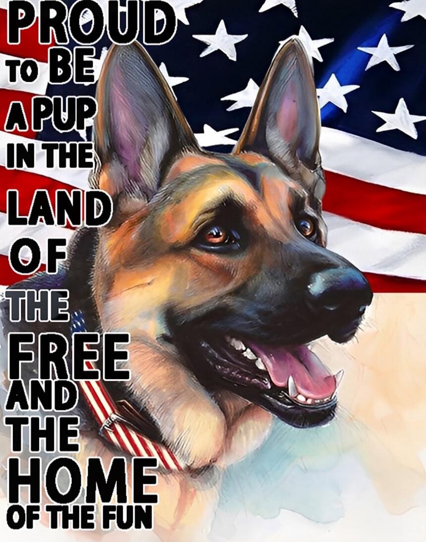 PROUD TO BE A PUP IN THE LAND OF THE FREE AND THE HOME OF THE FUN
