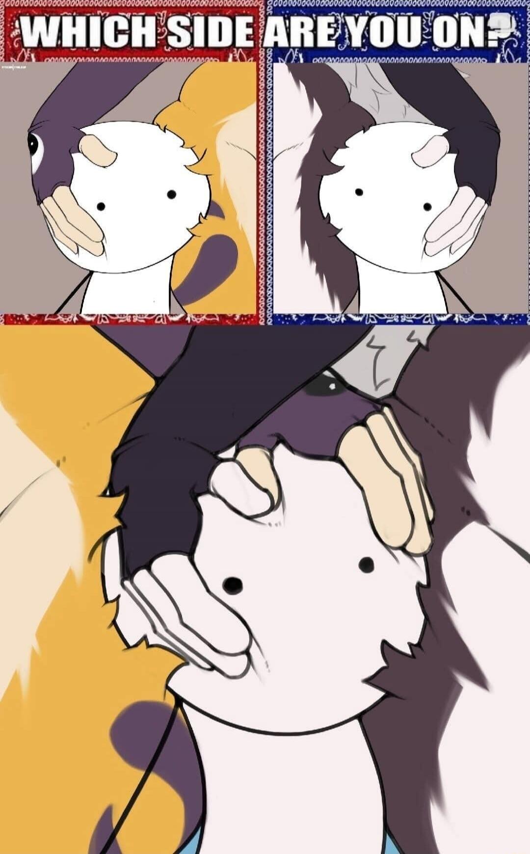 WHICH SIDE ARE YOU ON?