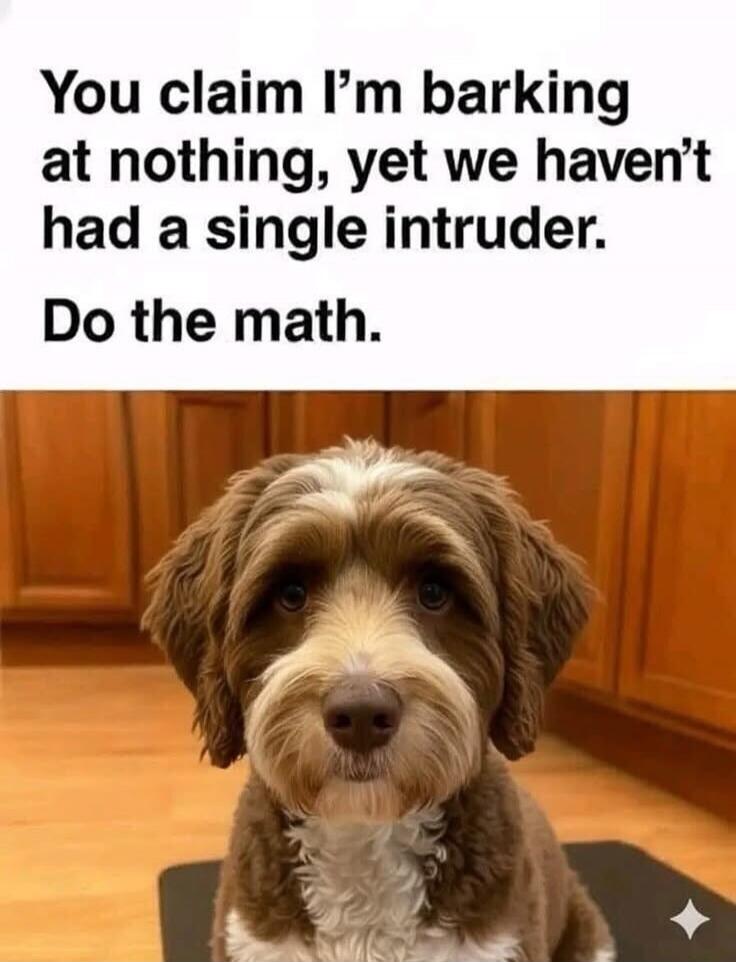 You claim I'm barking at nothing, yet we haven't had a single intruder. Do the math.