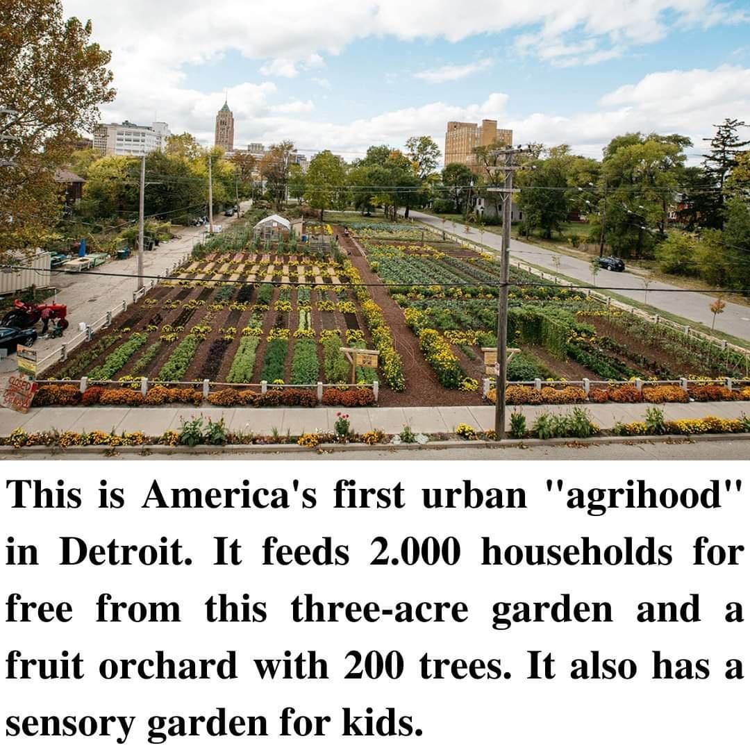 This is Americas first urban agrihood in Detroit It feeds 2000 households for free from this three acre garden and a fruit orchard with 200 trees It also has a sensory garden for kids