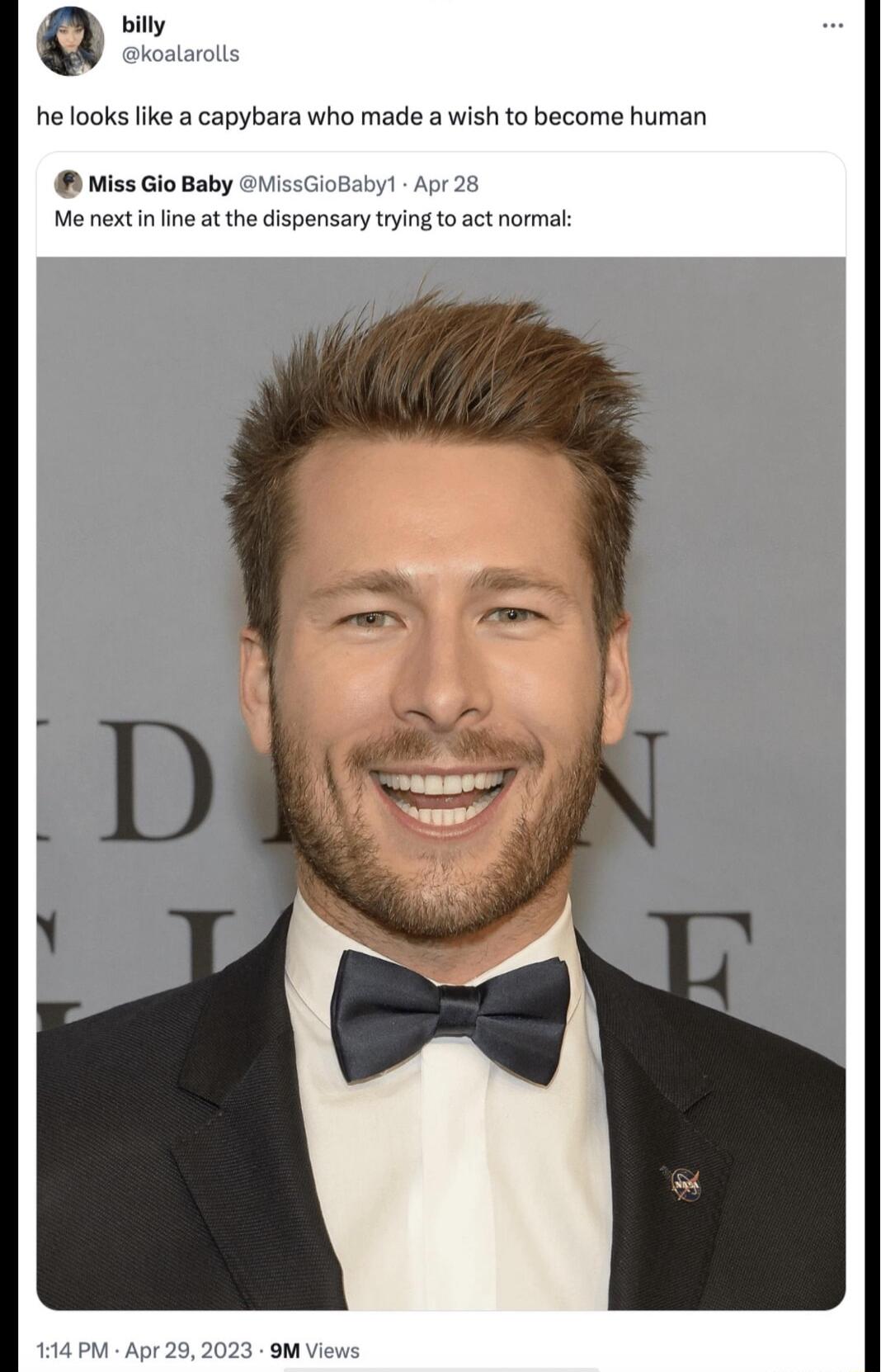 billy koalarolls he looks like a capybara who made a wish to become human Miss Gio Baby MissGioBaby Apr Me next inline at the dispensary trying to act normal 114 PM Apr 29 202